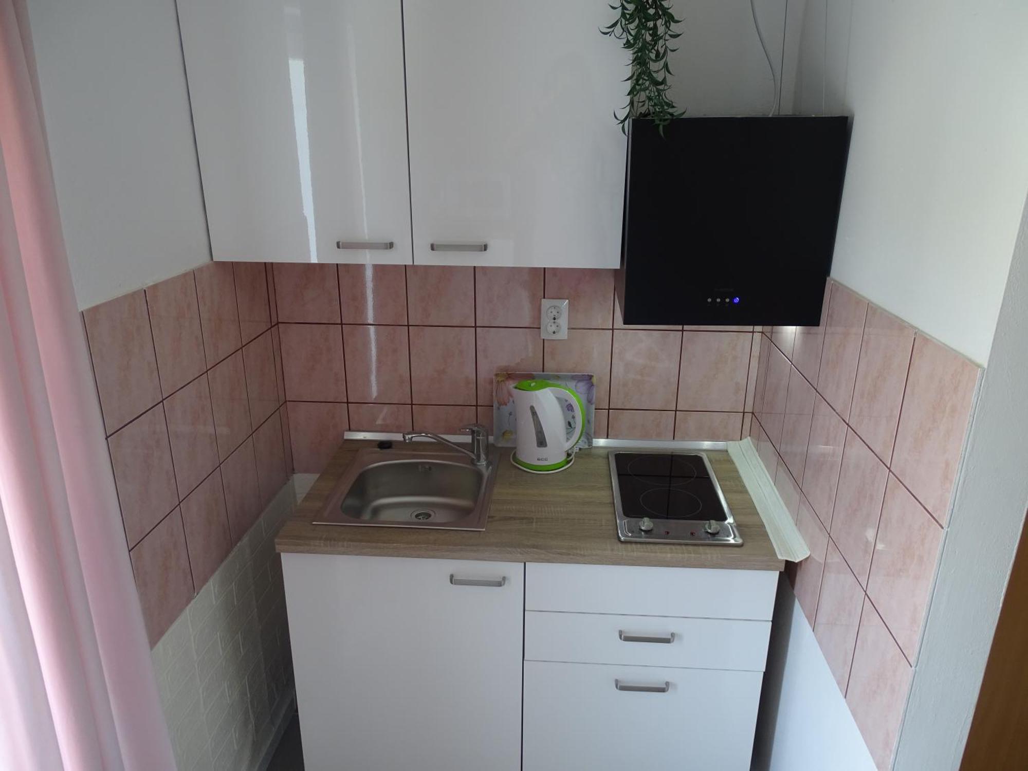 Apartments Sime Dinjiška Extérieur photo